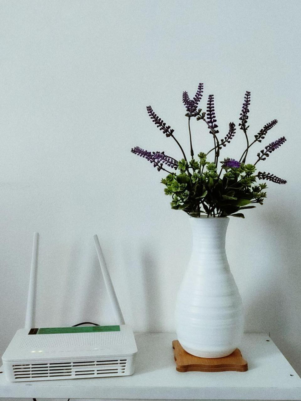 Serendipity Place @Celandine كالاوْكان المظهر الخارجي الصورة